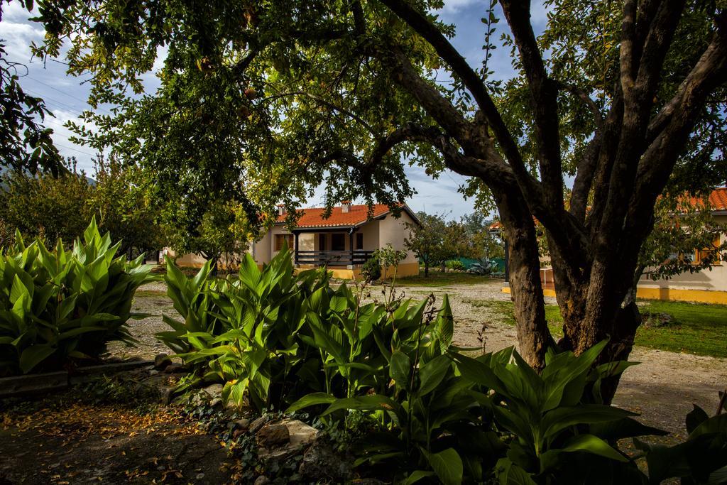 Gasthaus Casas Rurales Fuente Del Aliso Hervás Zimmer foto